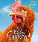 KNYGA Camilla De la Bédoyère Lifecycles: Egg to Chicken