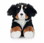Beppe Pies berneński 23cm 14285 25036