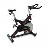 Spinning bike BH FITNESS Stratos