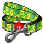 Waudog WAU DOG nyloninis reguliuojamas pavadėlis 15 mm/152-183 cm avokadas (5355)