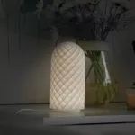 BambuLab Bambu Lab LED lempos rinkinys 001