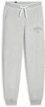 Puma Sportinės Kelnės Moterims Squad Pants Pilkas 677901 04