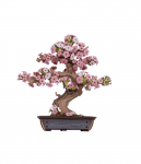 Dėlionė Rappa Robotime 3D medinis konstruktorius SAKURA BONSAI