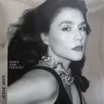 Vinilinė plok&scaron;telė What's Your Pleasure - The Platinum Pleasure Edition [vinilo plok&scaron;telė]
