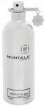 Montale Paris Fruits of the Musk 100ml NI&Scaron;INIAI kvepalai Unisex EDP Testeris tester