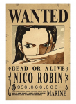 Plakatas One piece