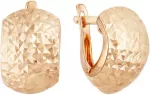 Auksiniai auskarai Brasco 52470