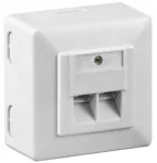 Goobay CAT 6 universali sieninė plok&scaron;tė su ant sienos tvirtinamu rėmu, balta, RJ-45, balta, 125 V, 1,5 A, 0&ndash;70 &deg;C, 1 vnt.