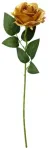 Hisabjoker Ab Auksinė rožė, 50 cm