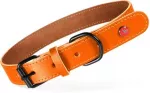 Zolux Antkaklis &scaron;uniui i&scaron; klasikinės odos 30cm/14 mm oranžinės spalvos