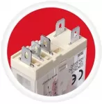 RELPOL Relės rinkinys 12A 1 C/O 24VAC, stiklo korpuso relė su lizdu ir LED Push-in gnybtais
