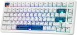 EPOMAKER žaidimų klaviatūra laidinė 75% Hall efektas 8000 Hz RGB HE80