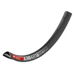 Ratlankis DT Swiss 29" XM 481