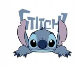 Termo aplikacija, užlydoma aplikacija Stich stitch sticz lilo 11