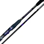 Spiningas XESTA Live Catcher B610 Casting 2.08m 20-80g