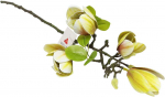 Artflow Dirbtinė magnolija 68 cm, balta