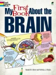 KNYGA Patricia J Wynne My First Book About the Brain