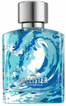 Hollister Wave Surf Edition EDT tualetinis vanduo vyrams, 50 ml
