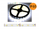 Taśma LED Ecolight PS Sznur diodowy ECO* neper&scaron;lampamas, światło naturalne balta (4000K), 300 diod, 5m, balta podłoże, SMD2835, IP65.