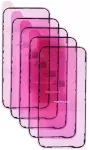 Oem REPART Taśma klejąca uszczelka wyświetlacza do IPHONE 13 (5szt)