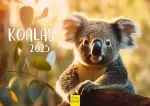 Edition Seidel Premium kalendorius Koalos 2025 formatas Din A4 sieninis kalendorius gyvūnų kalendorius Australija koala lokys žinduolis eukalipto mi&scaron;kas