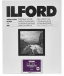 1x100 Ilford MG RC DL 44M 13x18