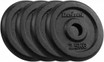 Ketaus svarelių rinkinys 4x2.5kg, skylė 31mm, klasikinė plok&scaron;telė, REBEL ACTIVE