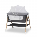 Colibro lop&scaron;iukas Pino, Onyx