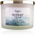 Accentra Kvapioji žvakė WINTER SPA su auksiniu dangteliu, 330 g
