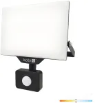 30W LED prožektorius su judesio davikliu DELYO MHNC, juodas, 4000K, IP54