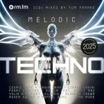 Vinilinė plok&scaron;telė Melodic Techno 2025