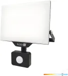 30W LED prožektorius su judesio davikliu DELYO MHNC, juodas, 6000K, IP54