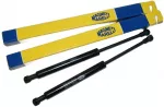 Magneti Marelli Tailgate Boot x2 Struts Gas Springs Lifters Ford Escort IV 1.6 AZMT510201379 ZSA03060