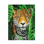 DIAMOND DOTZ Deimantinė mozaika suaugusiems Jaguar Jungle (018-DD344014)