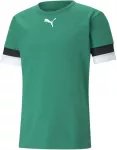 Puma Futbolo Mar&scaron;kinėliai Vyrams TeamRise Jersey Žalias 704932 05