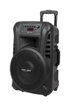 Azusa ne&scaron;iojama kolonėlė (su 2 belaidžiais mikrofonais, SD, Bluetooth, USB)