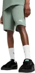 Puma &Scaron;ortai Paaugliams Ess 2 Color No. 1 Logo Shorts Žalias 685826 30
