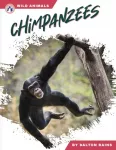 KNYGA Dalton Rains Chimpanzees