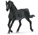 Schleich figūrėlė Arabų veislės žirgas