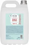 On Line Priežiūros skystas muilas Antibakterinis 5000 ml (108742)