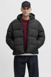 Žieminė striukė JACK & JONES