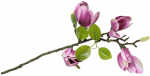 Artflow Dirbtinė magnolija 68 cm, violetinė
