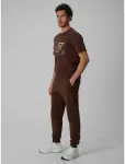 Vyri&scaron;kos jogger kelnės 4F, rudos