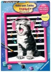 Ravensburger tapyba pagal skaičius &bdquo;Dainuojantis katinas&ldquo;, 24&times;30 cm
