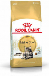 FBN Cat Maine Coon 4kg