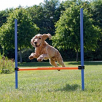 TRIXIE Agility kliūtis, 123x115 cm, plastikas, 3207