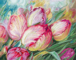 Andriana Beldizart Tulpės SANT-16