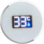 Termometras (180288)