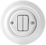 ABB dvigubas perjungiamasis jungiklis, blizgus baltas, 10A 250V, Decento