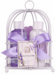 Accentra Vonios rinkinys LAVENDER